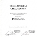 Acercar imagen: certificate 11