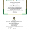 Acercar imagen: certificate 5