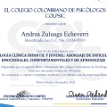 Acercar imagen: certificate 2