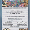 Acercar imagen: certificate 5