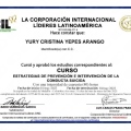 Acercar imagen: certificate 3