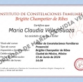 Acercar imagen: certificate 3