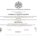 Acercar imagen: certificate 2
