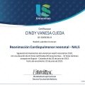 Acercar imagen: certificate 6