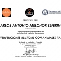 Acercar imagen: certificate 7