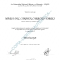 Acercar imagen: certificate 7