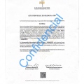 Acercar imagen: certificate 8