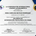 Acercar imagen: certificate 36