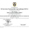 Acercar imagen: certificate 10