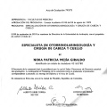 Acercar imagen: certificate 24