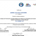 Acercar imagen: certificate 1