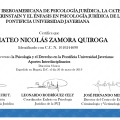 Acercar imagen: certificate 4