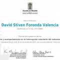 Acercar imagen: certificate 7