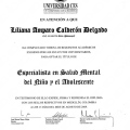 Acercar imagen: certificate 3