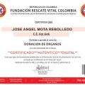 Acercar imagen: certificate 53