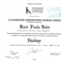 Acercar imagen: certificate 1
