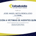 Acercar imagen: certificate 41