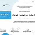 Acercar imagen: certificate 25