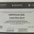 Acercar imagen: certificate 11
