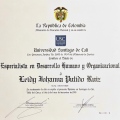 Acercar imagen: certificate 7