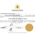 Acercar imagen: certificate 2