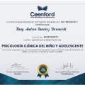 Acercar imagen: certificate 8
