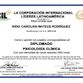 Acercar imagen: certificate 44