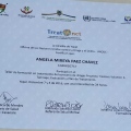 Acercar imagen: certificate 9