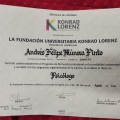Acercar imagen: certificate 1