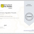 Acercar imagen: certificate 5