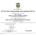 Acercar imagen: certificate 13