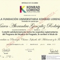 Acercar imagen: certificate 1