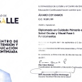 Acercar imagen: certificate 2