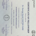 Acercar imagen: certificate 5