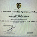 Acercar imagen: certificate 6