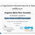 Acercar imagen: certificate 3