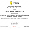 Acercar imagen: certificate 2