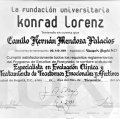 Acercar imagen: certificate 2