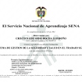 Acercar imagen: certificate 10
