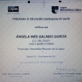 Acercar imagen: certificate 19