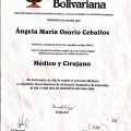 Acercar imagen: certificate 6