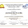 Acercar imagen: certificate 5