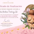 Acercar imagen: certificate 1