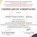 Acercar imagen: certificate 1