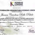 Acercar imagen: certificate 2