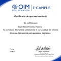 Acercar imagen: certificate 9