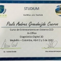 Acercar imagen: certificate 2