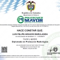 Acercar imagen: certificate 6