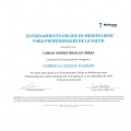 Acercar imagen: certificate 4