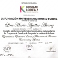 Acercar imagen: certificate 2